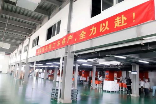 隱形冠軍藍(lán)帆醫(yī)療 從百億手套大王到抗疫先鋒的硬核突圍